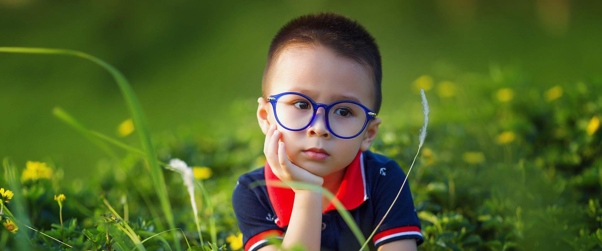 Franklin North Carolina Lions Club Vision Assistance